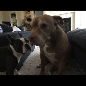 Meet your Posher, Mark & dina